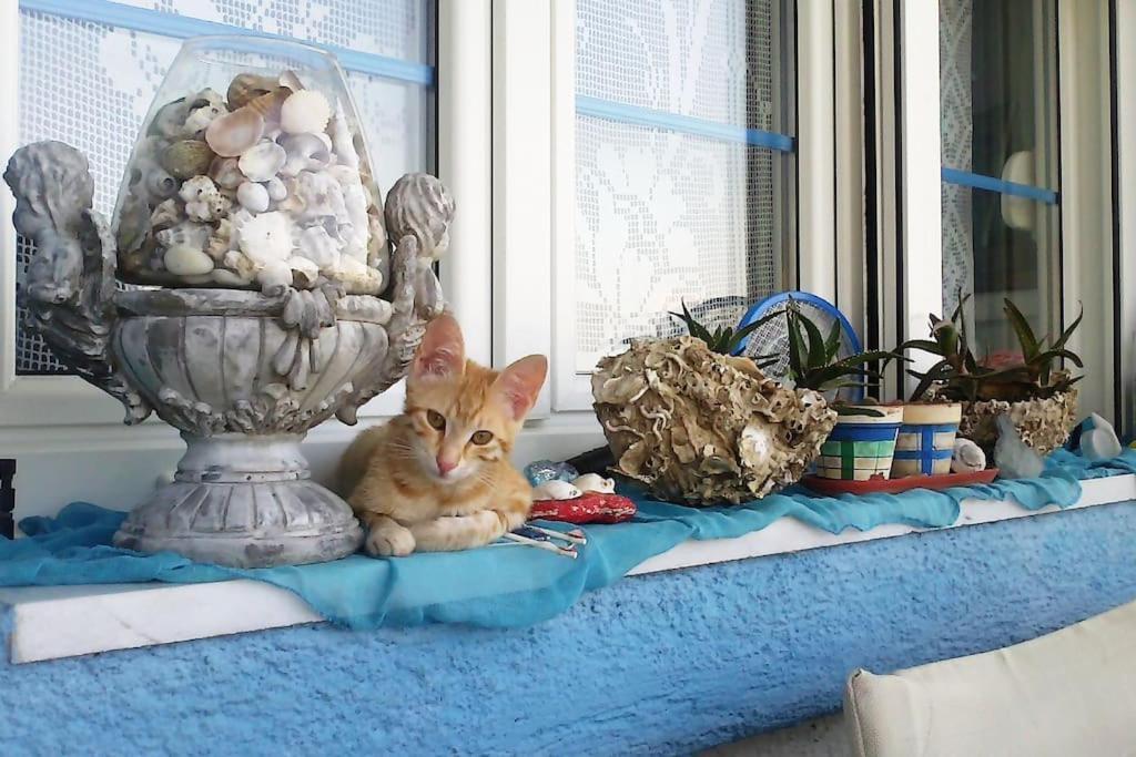 Vasiliki Holiday home *