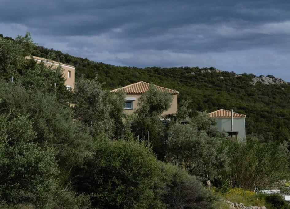 Melolia Estate Apartment