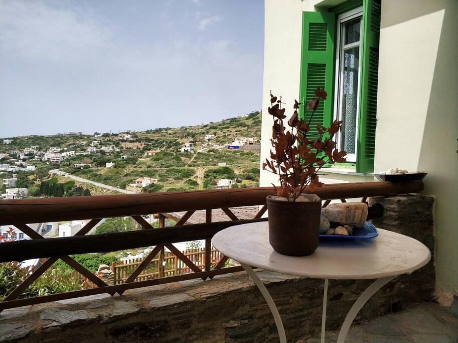 Holiday home Zenios Andros-cycladic House Overlooking Batsi Bay
