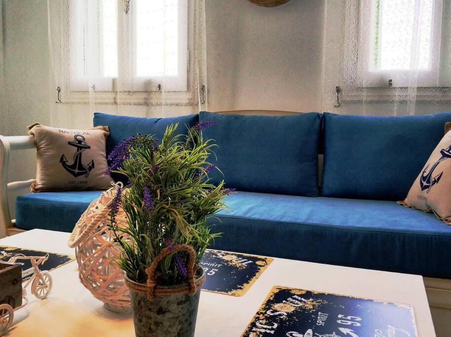 Zenios Andros-cycladic House Overlooking Batsi Bay Holiday home *