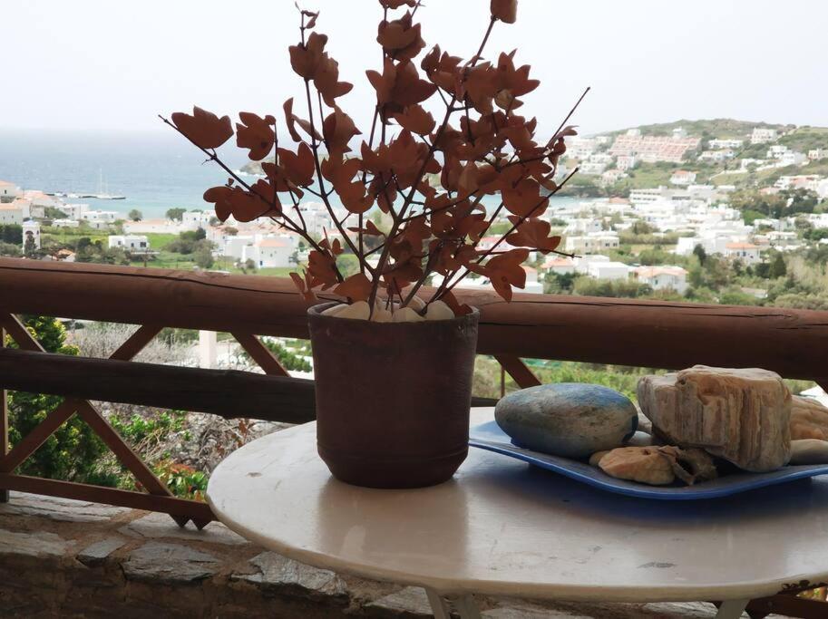 Zenios Andros-cycladic House Overlooking Batsi Bay Holiday home *