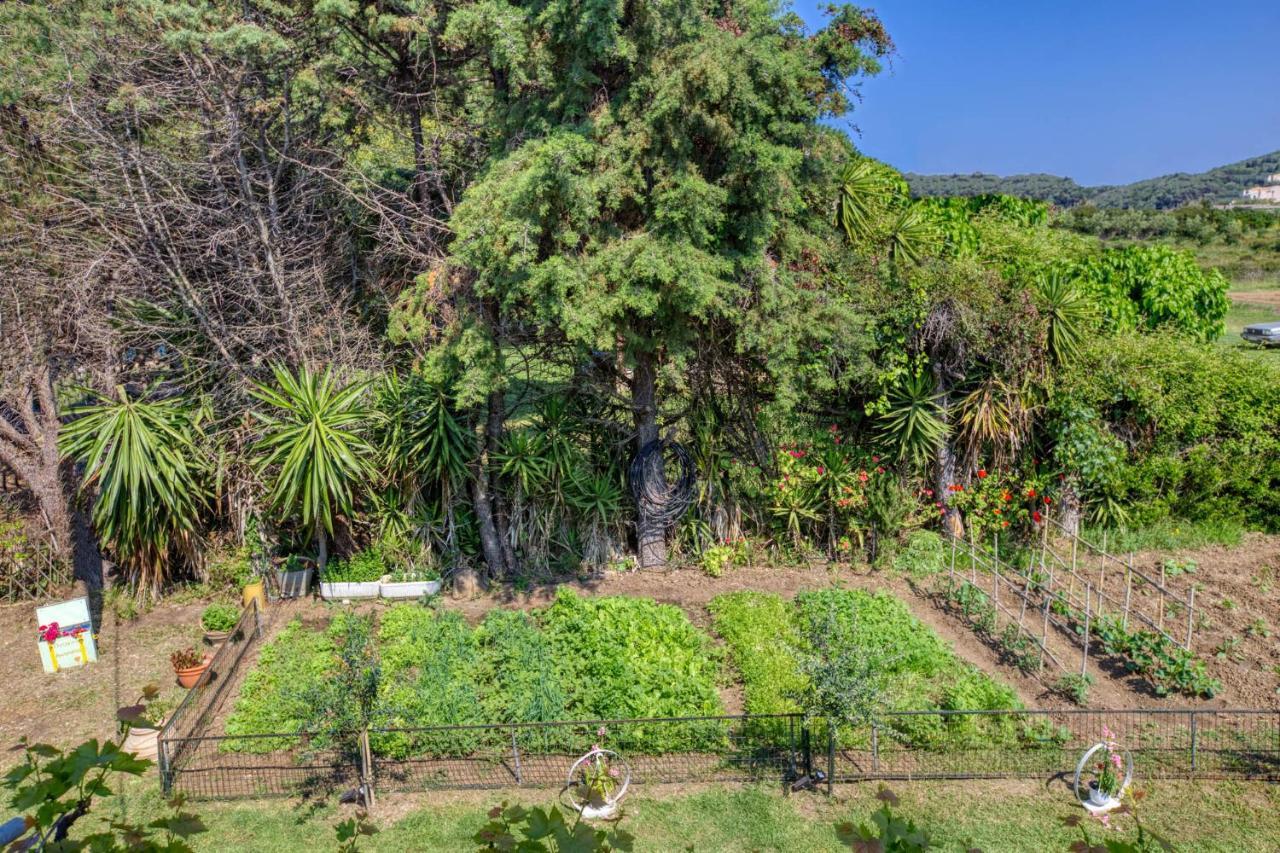 Apartment Christinas Agios Matthaios (Corfu)