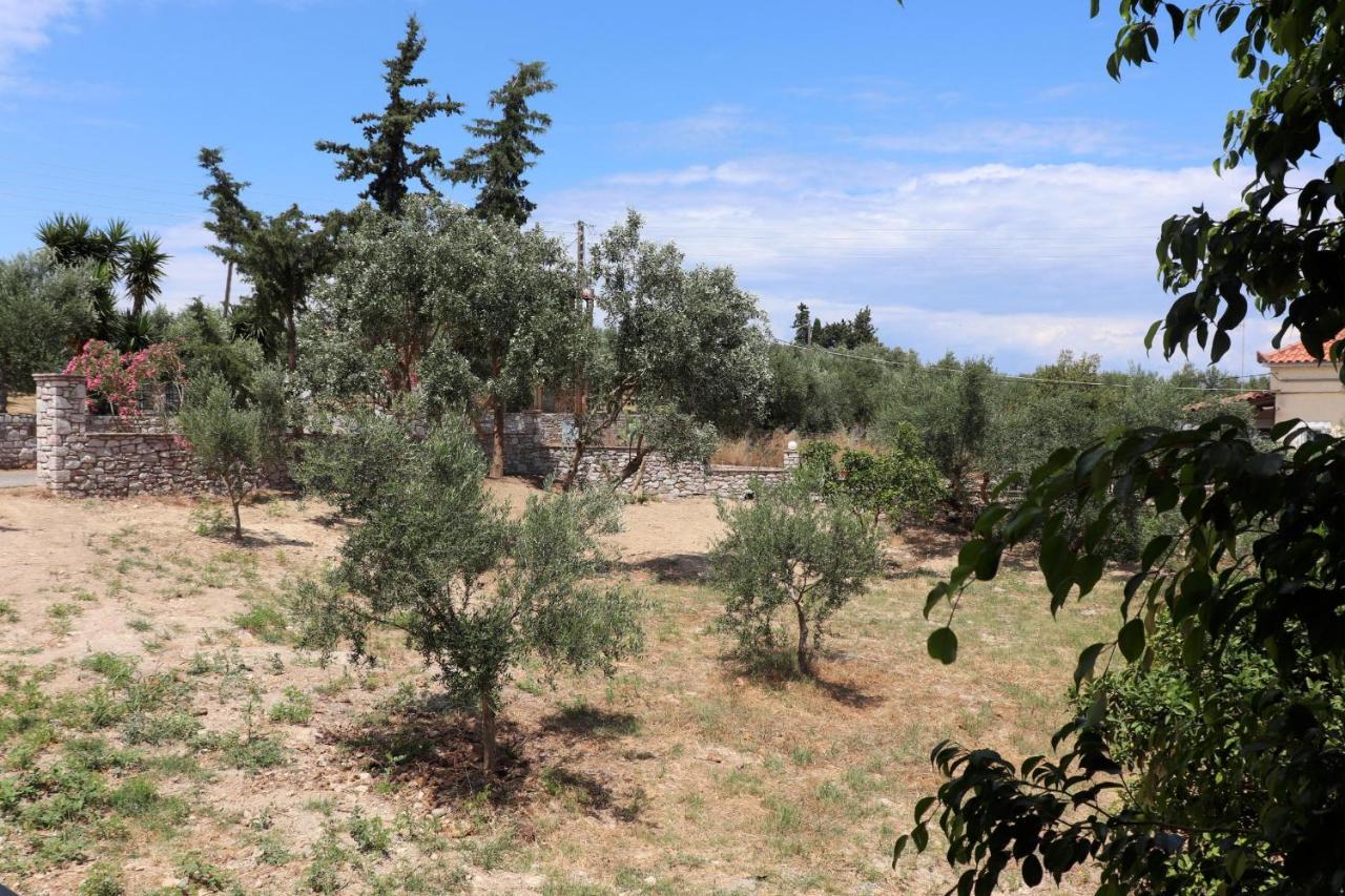 Anastassia Og * Koroni (Messinia)
