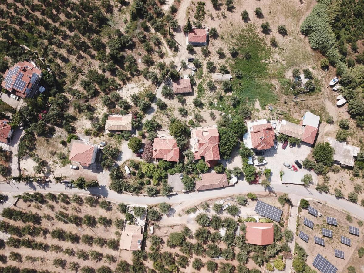 Anastassia Eg Koroni (Messinia)