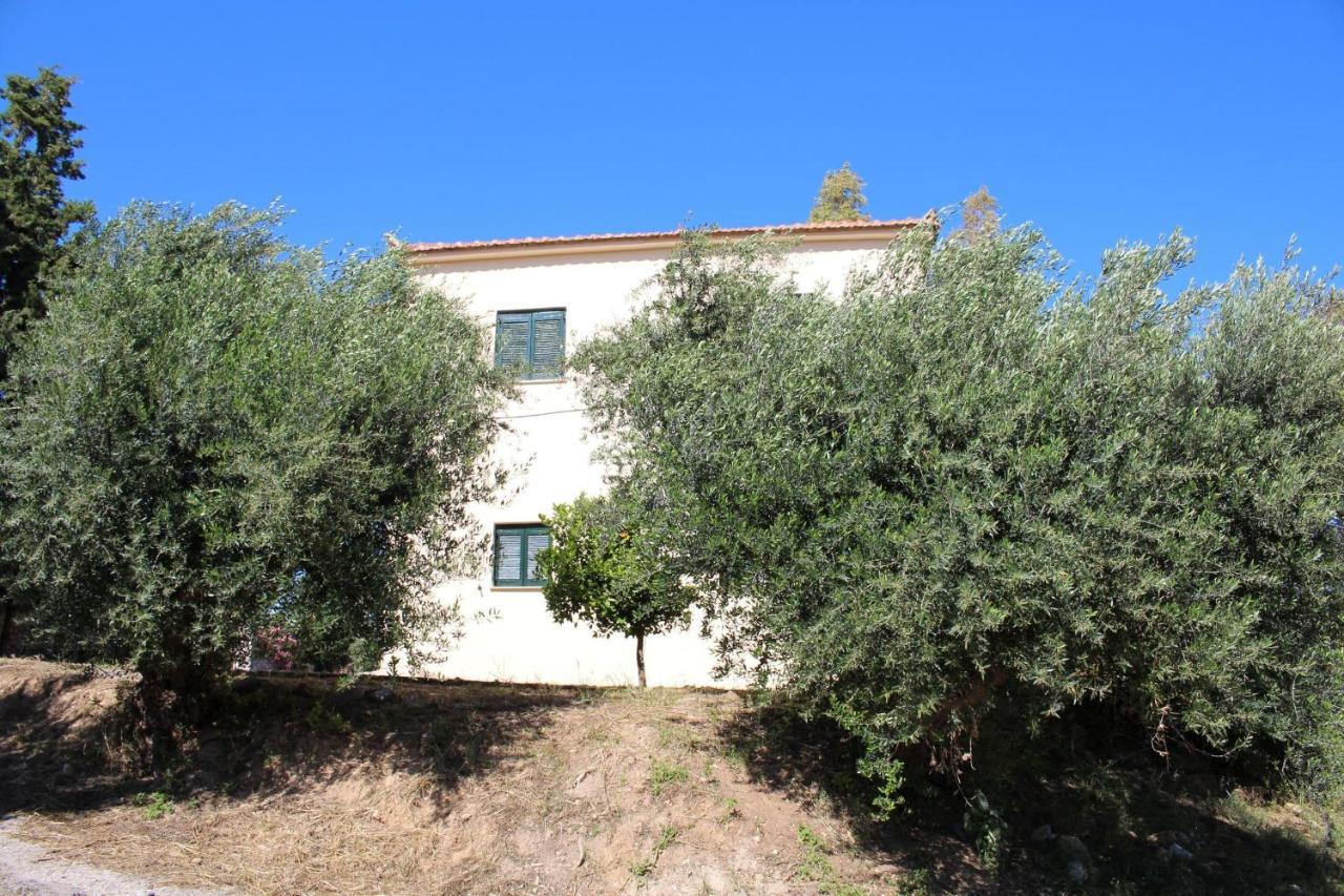 Anastassia Og Apartment