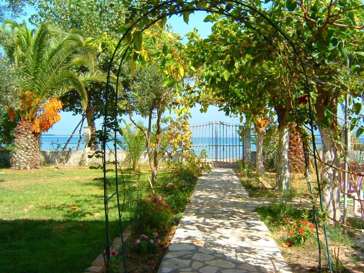 Aristidis * Lefkimmi (Corfu)