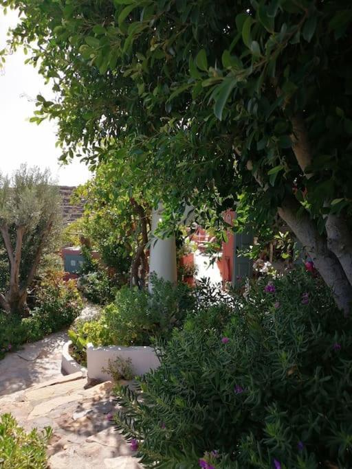 Casa Dei Melograni At Vourlidia Leros Holiday home *