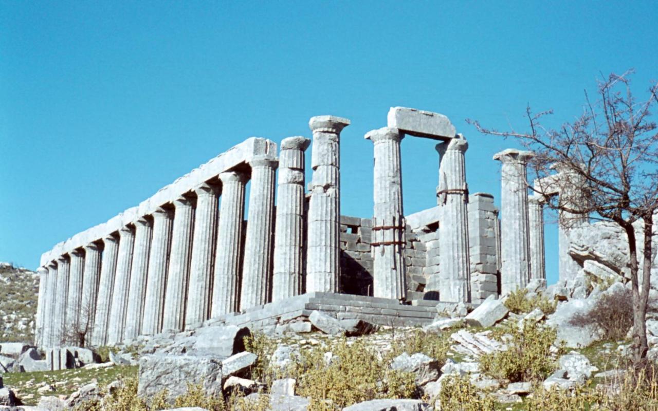 Ionianeon *