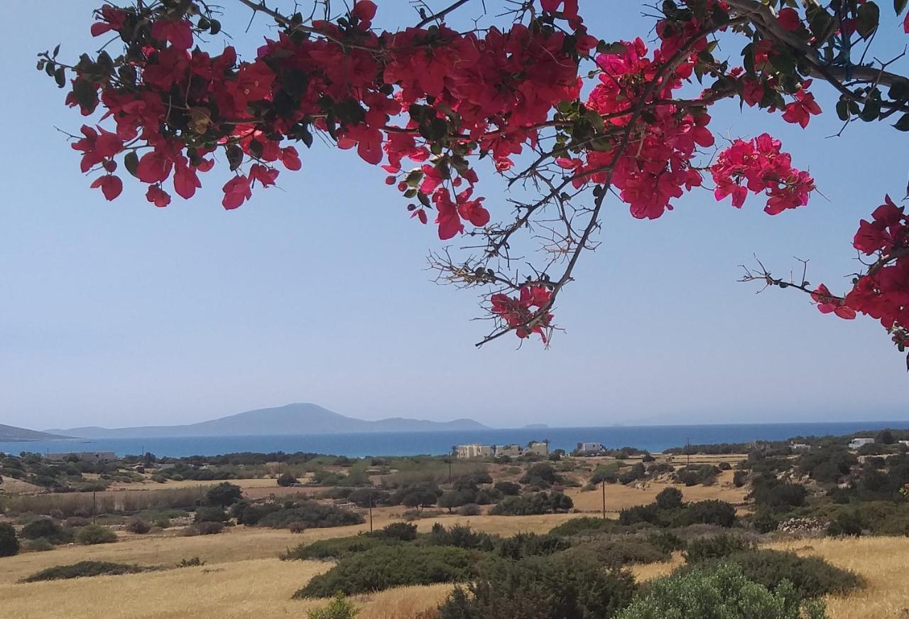 Haus Asterakia Apartment Aliko Beach