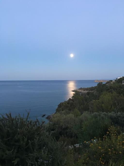 Nafsika Stunning View On The Aegean Sea Villa