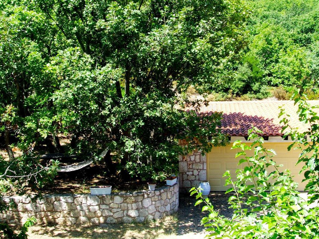 Villa Des Hiboux A Egee *