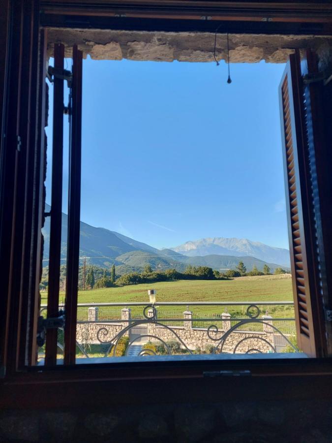 Xenios Petritis Homestay Livadeia