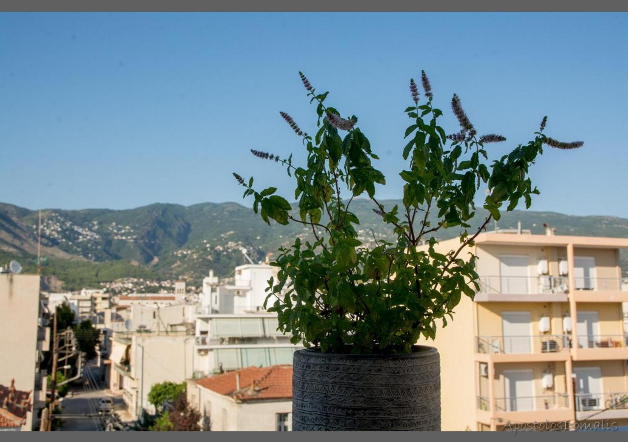 Areti' S Volos