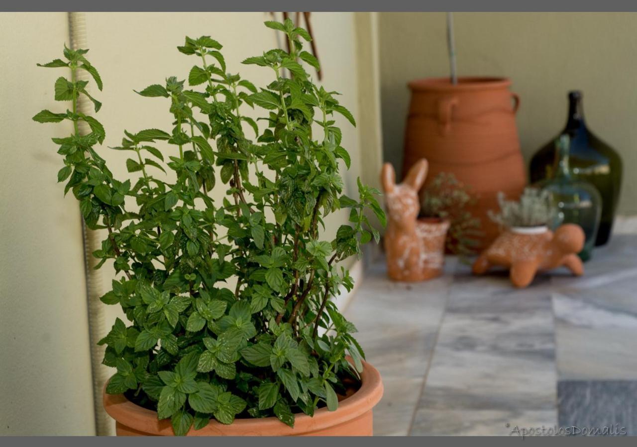 Areti' S Apartment Volos