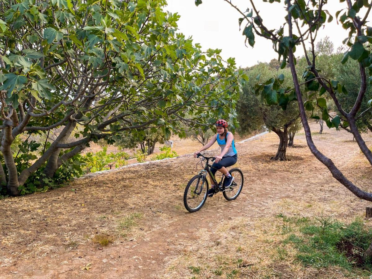 Villa Green Island Athena And Poseidon Ioulis