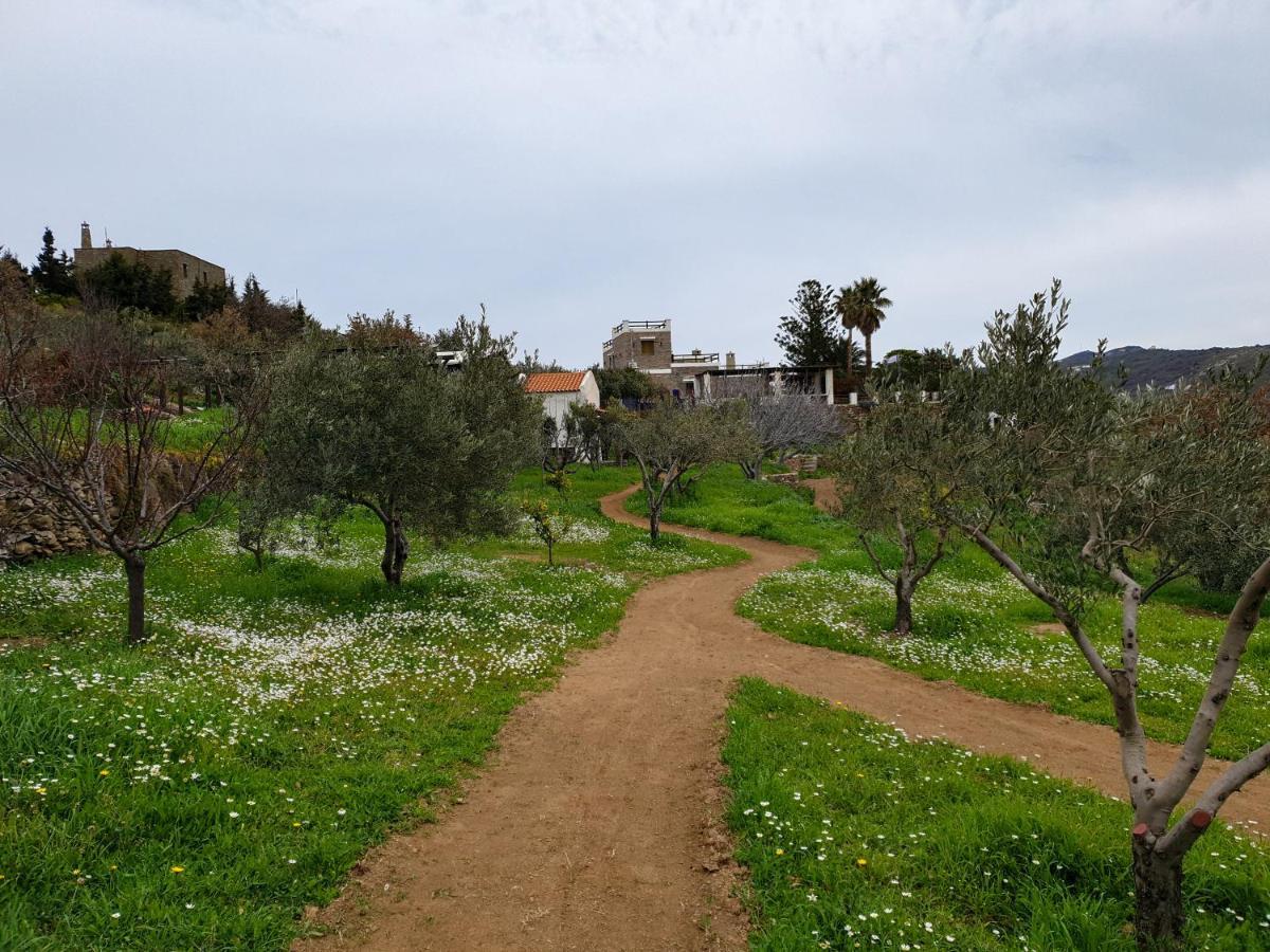 Green Island Athena And Poseidon Ioulis