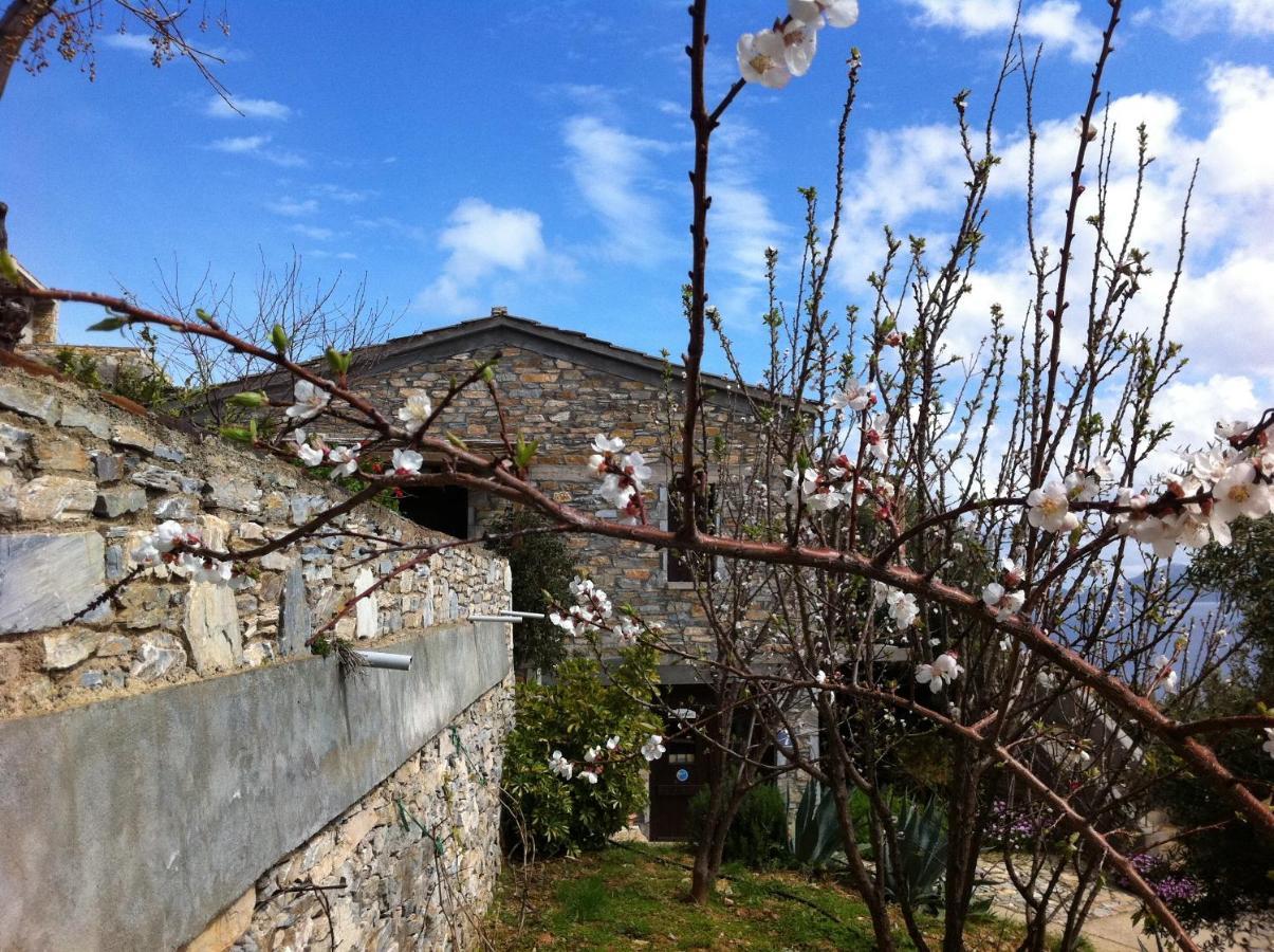 Pyrgos Traditional Village Agios Kirykos (Ikaria)