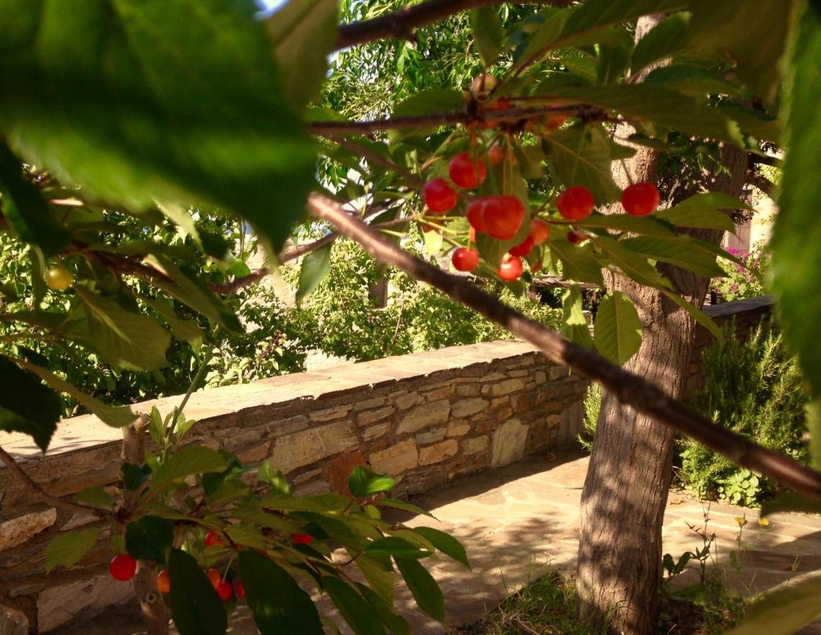 Apartment Pyrgos Traditional Village Agios Kirykos (Ikaria)