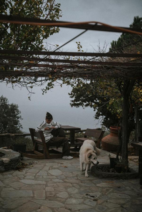 Guest house Toumba Eco Farm