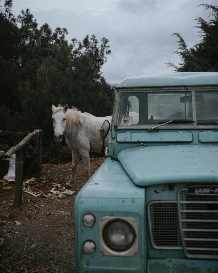 Toumba Eco Farm