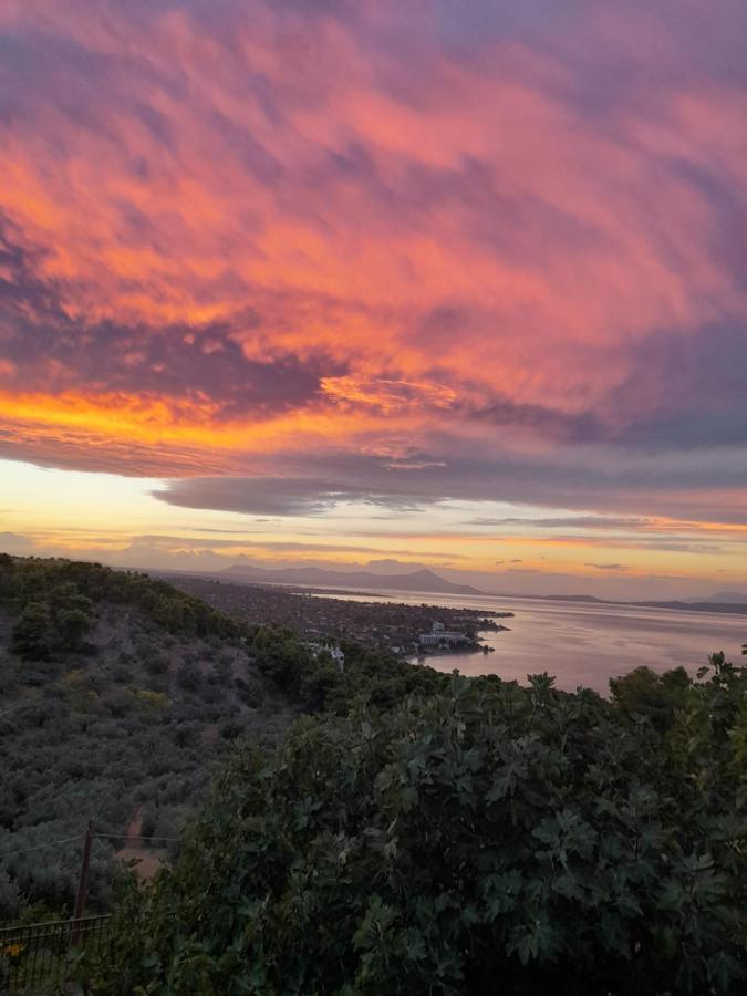 Amphiareion Sea View Holiday home *