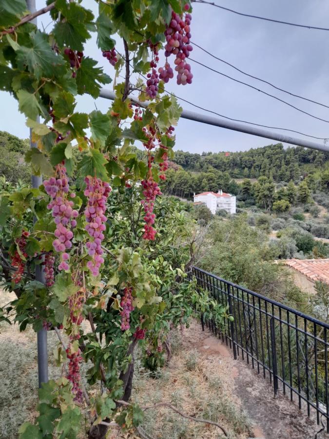 Holiday home Amphiareion Sea View