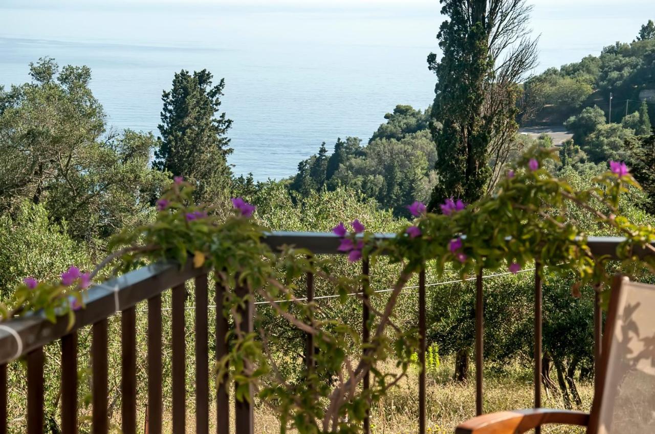 Malibu * Glyfada (Corfu)