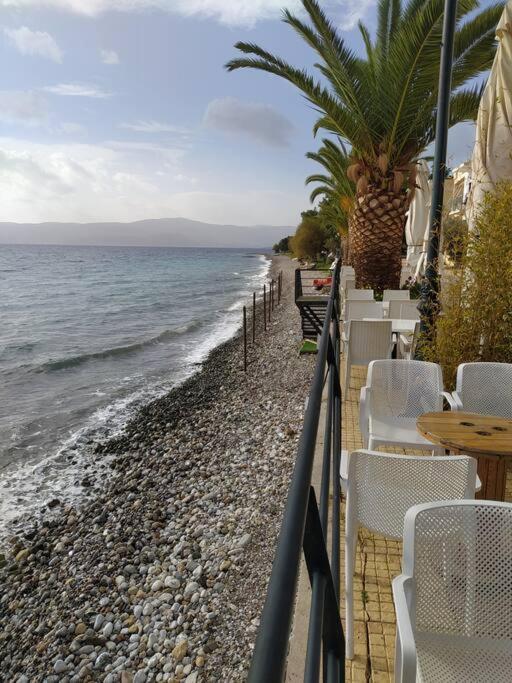 Doll House Next To The Sea Apartment Agioi Theodoroi