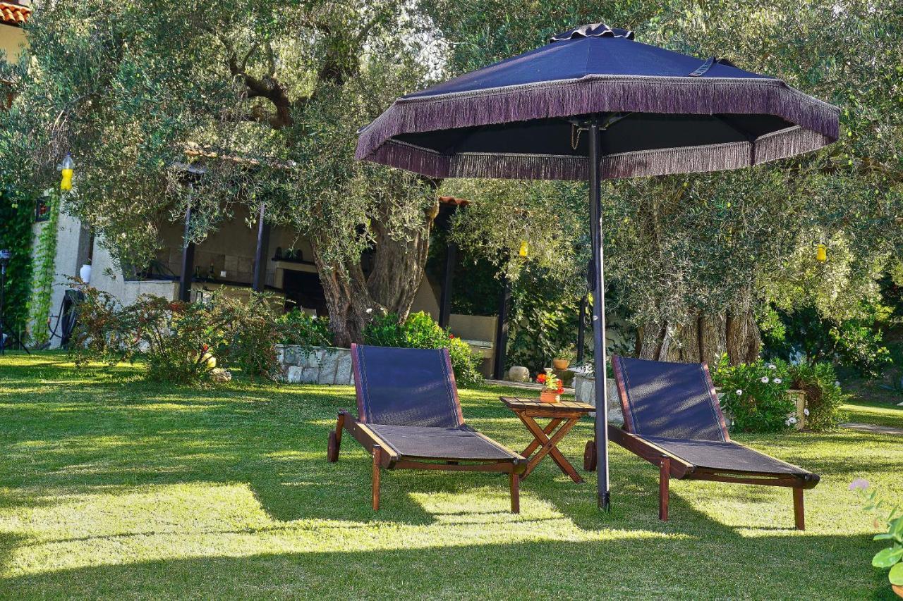 The Cosy Olive Holiday home Ormos Panagias