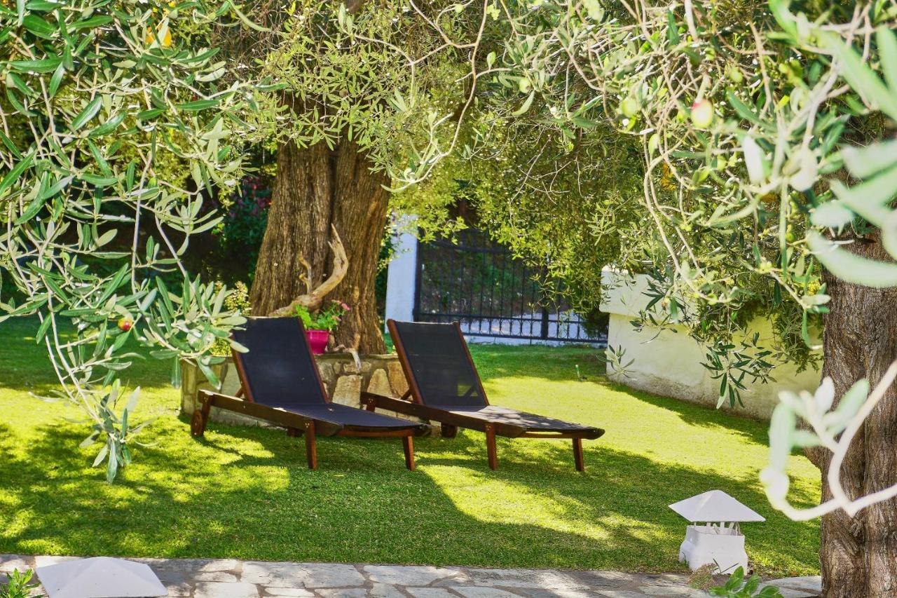 The Cosy Olive Holiday home *