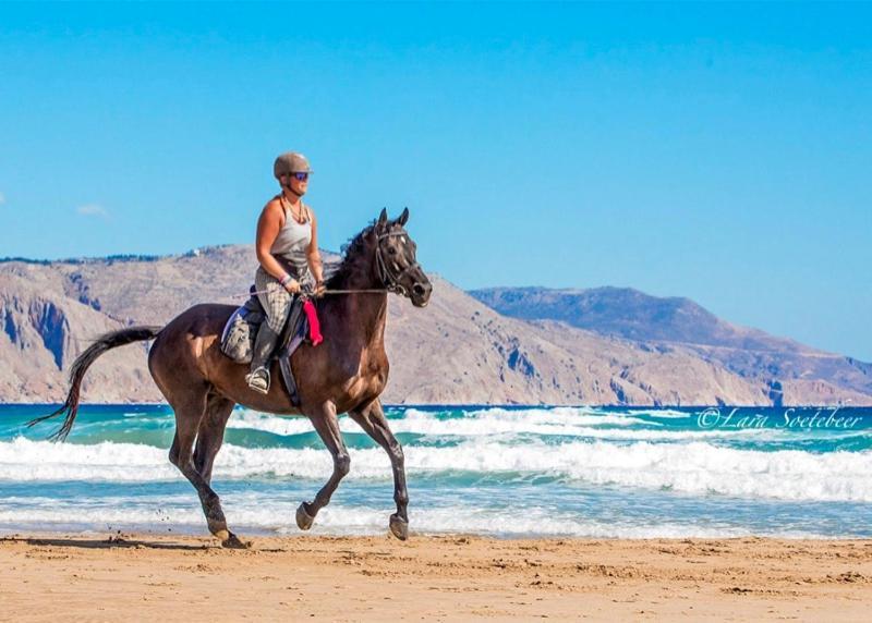 Hotel Rethymno Mare & Water Park Skaleta