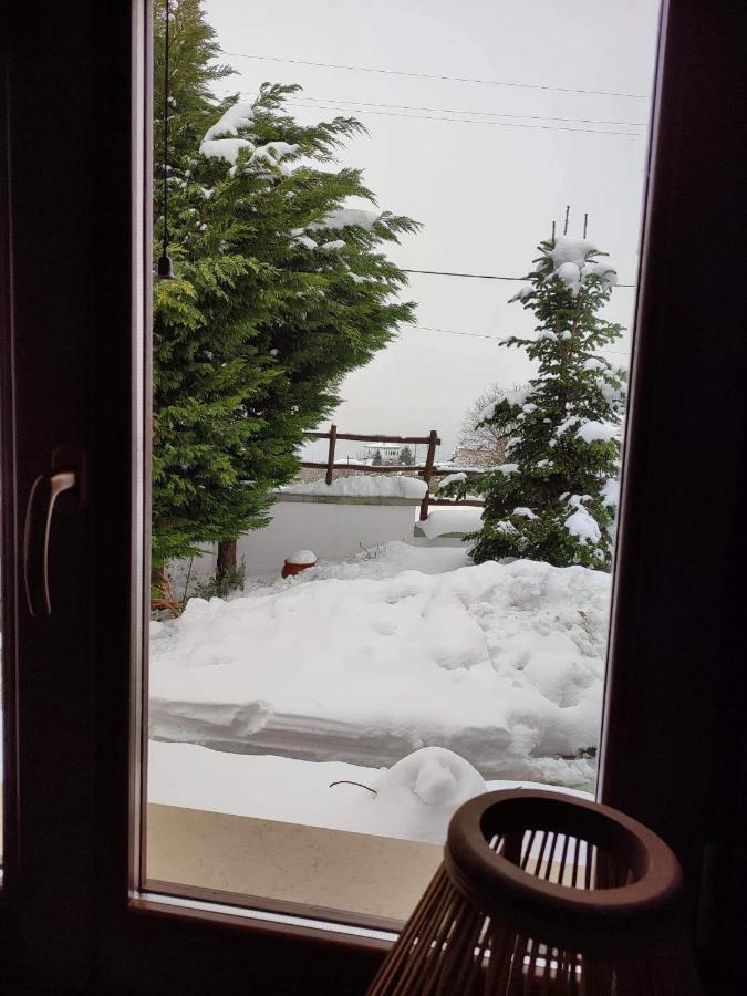 Petrichor Apartment