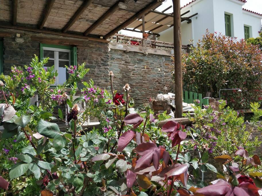 Holiday home Zenios Andros-cycladic House Overlooking Batsi Bay Batsi (Andros)