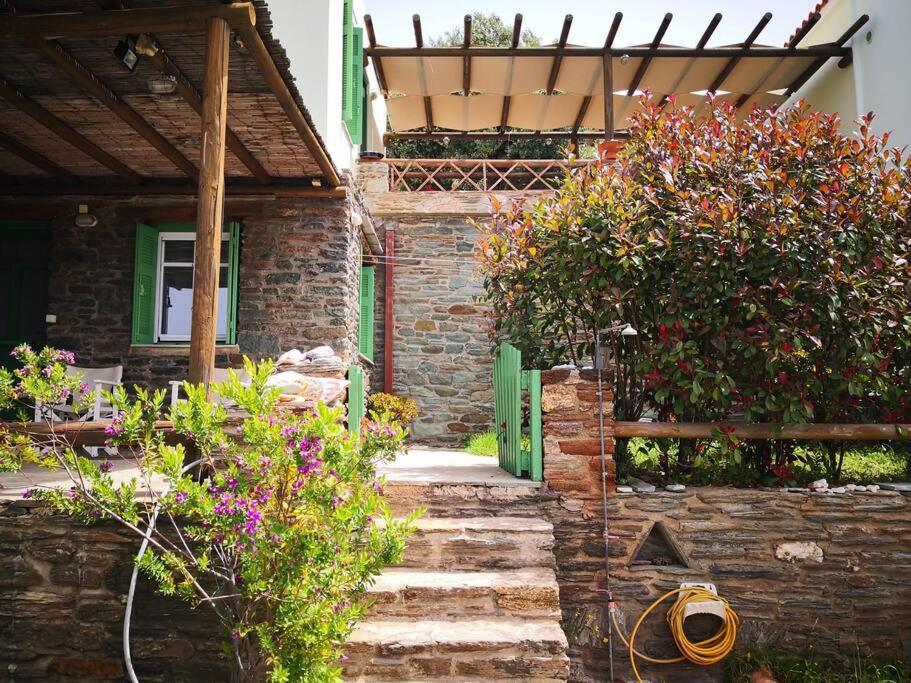Zenios Andros-cycladic House Overlooking Batsi Bay Batsi (Andros)