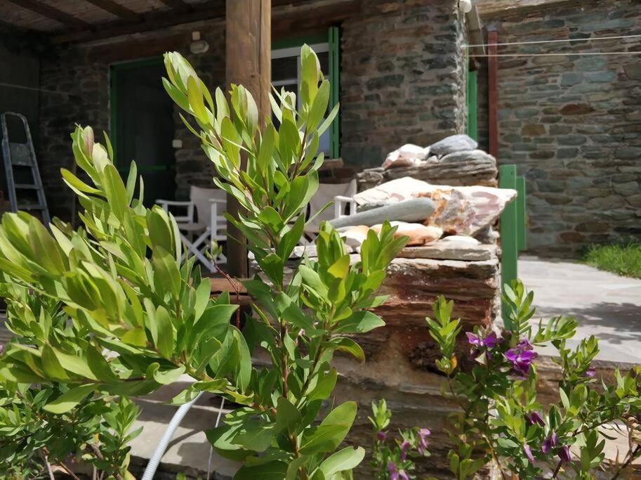 Zenios Andros-cycladic House Overlooking Batsi Bay Holiday home *