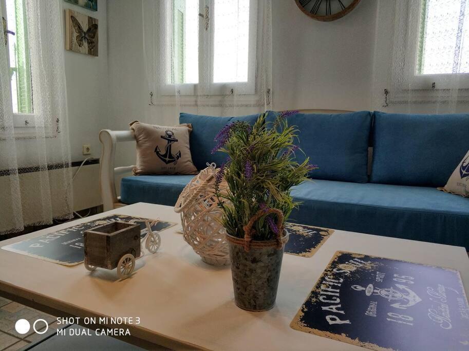 Zenios Andros-cycladic House Overlooking Batsi Bay * Batsi (Andros)