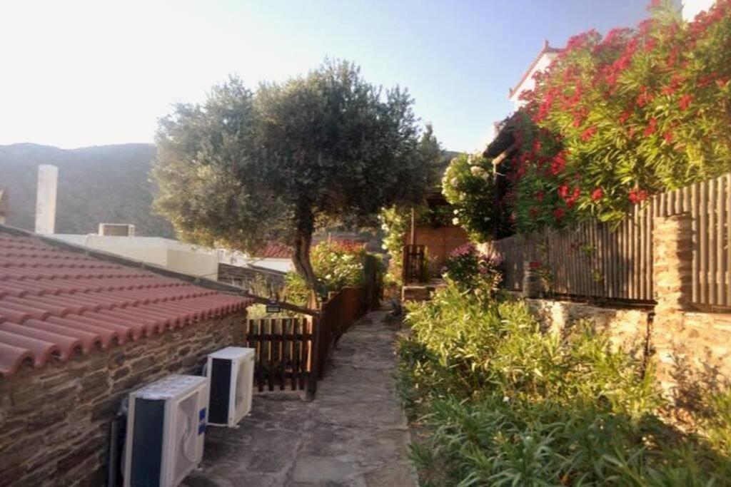 Zenios Andros-cycladic House Overlooking Batsi Bay Holiday home Batsi (Andros)