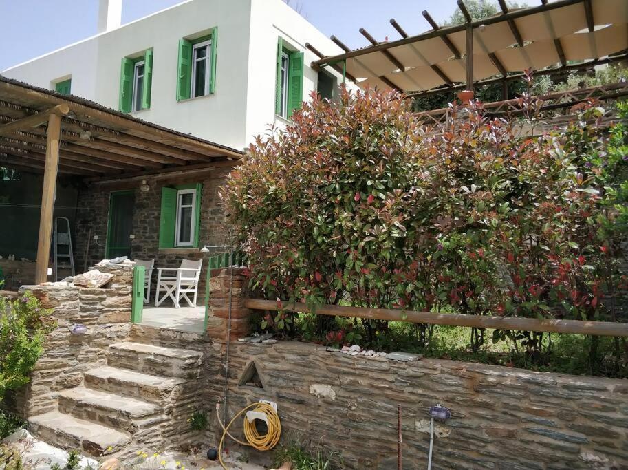 Zenios Andros-cycladic House Overlooking Batsi Bay Holiday home