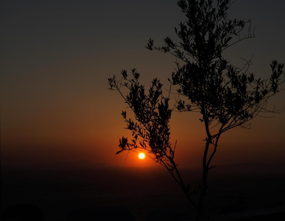 Oasis With Caldera View * Oia (Santorini)
