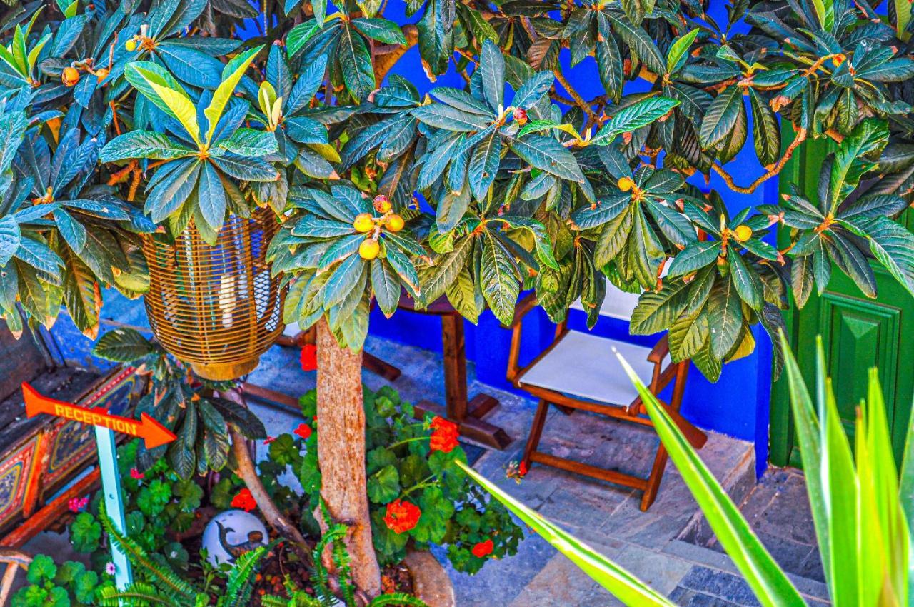 Garden Symi