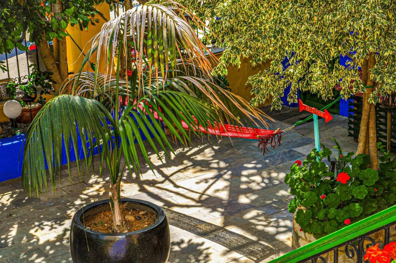 Garden Aparthotel 3*