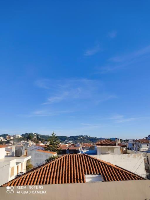Apartment Bozikis House! A Cosy In The Centre Skiathos Town