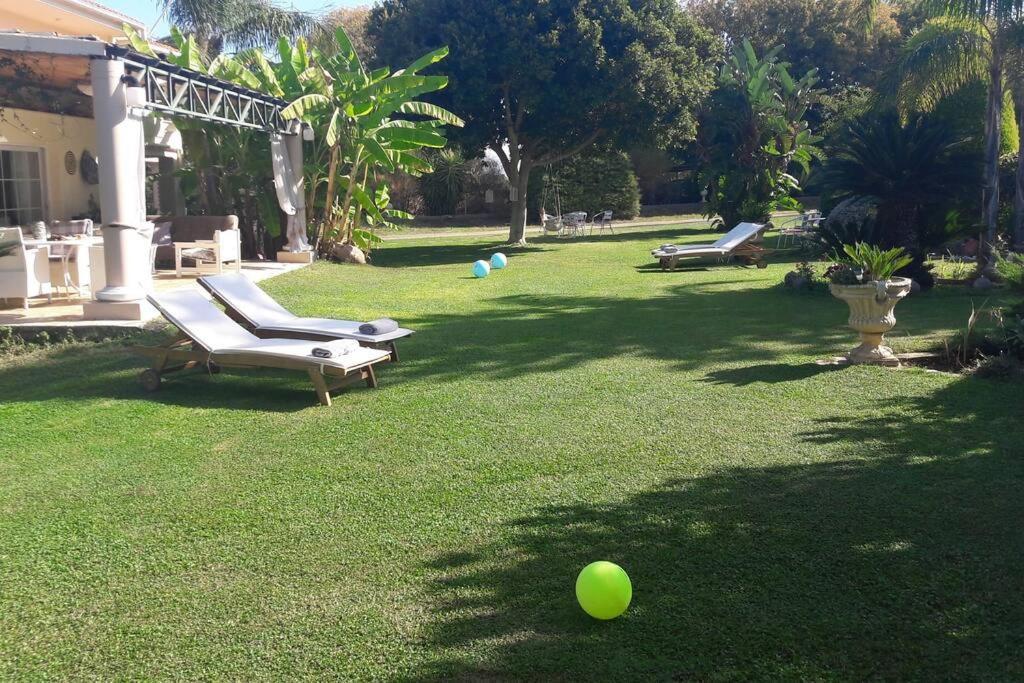 In Paradise * Ziparion