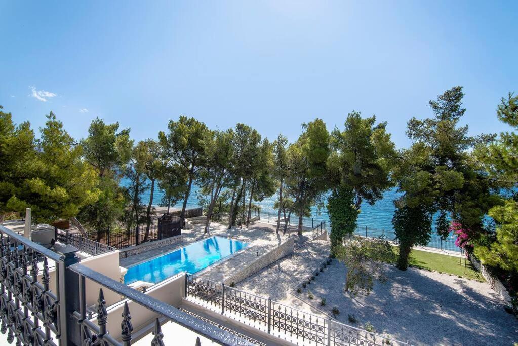 Villa Lion *