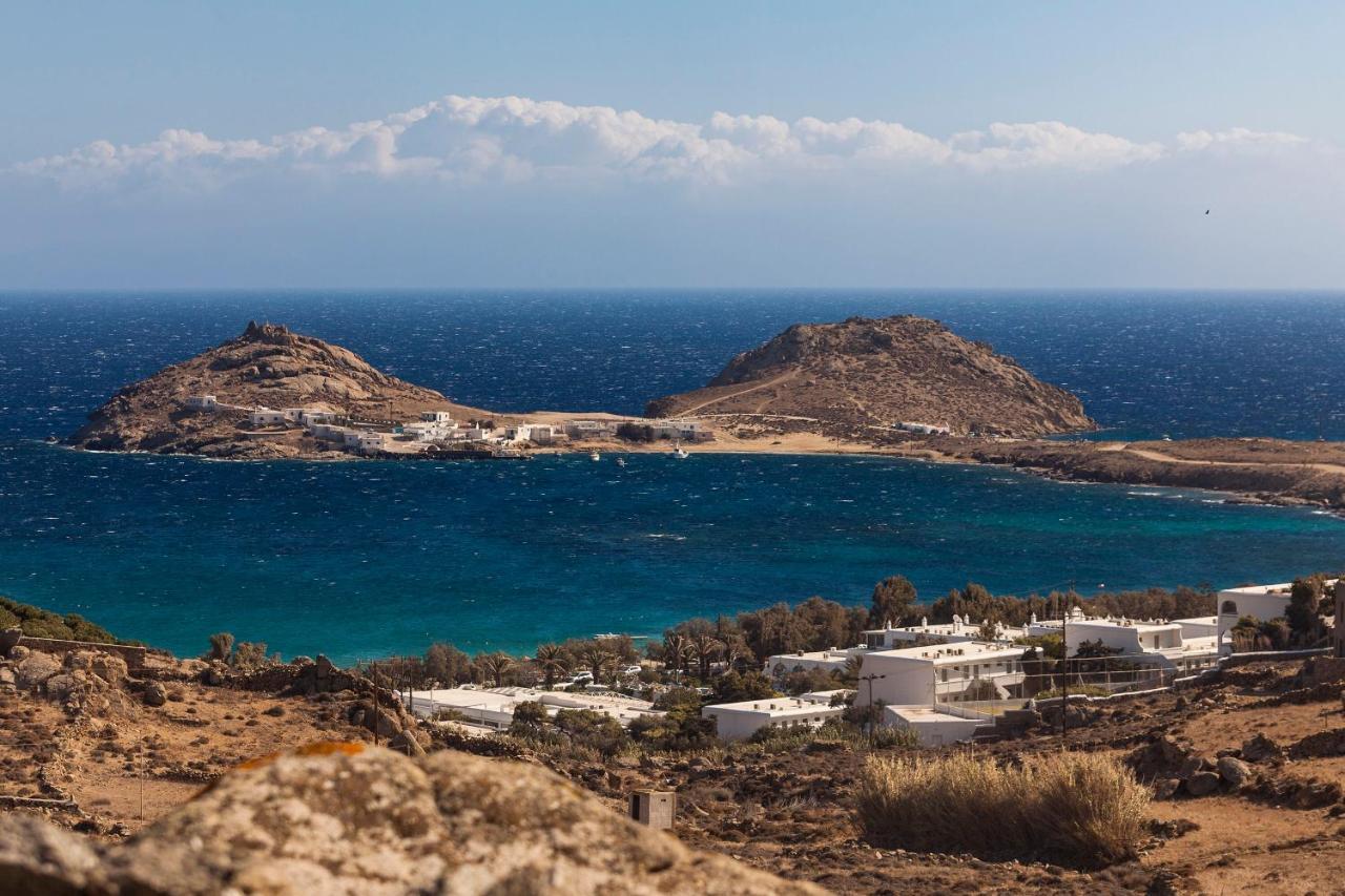 Elegant Seaside Villa, Great Views, Infinity Pool, Lia, Mykonos Villa Mykonos Town
