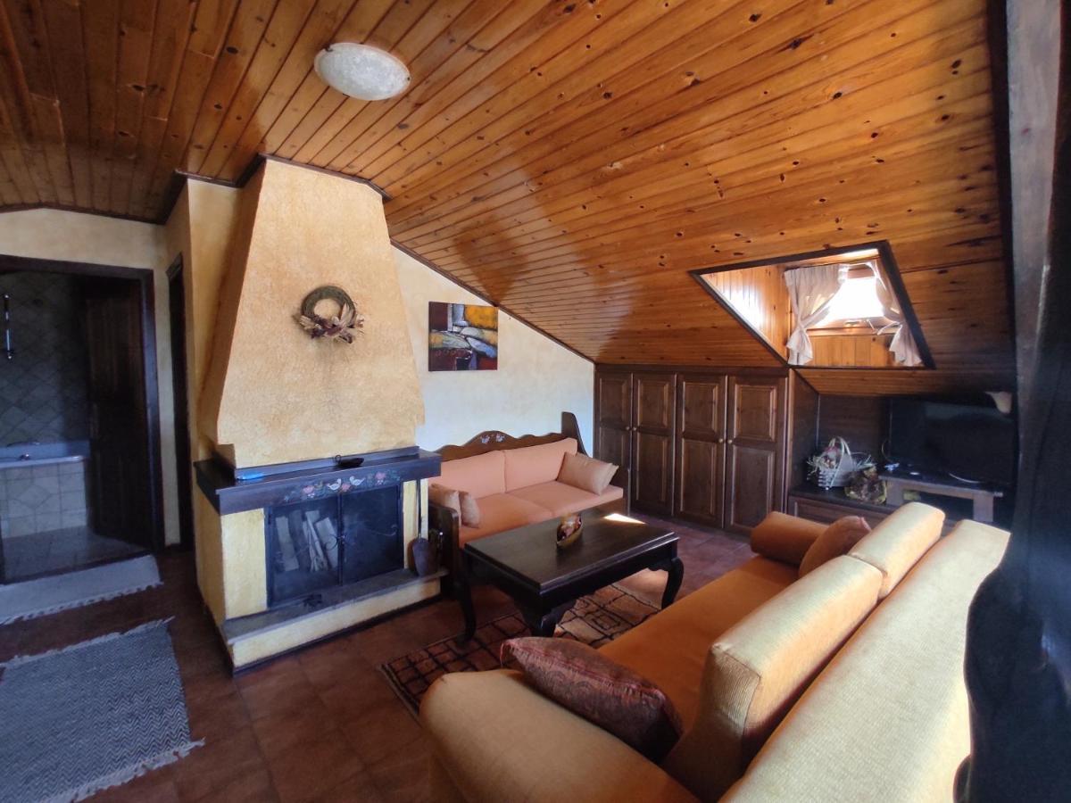 Xenonas Brizi Guest house *
