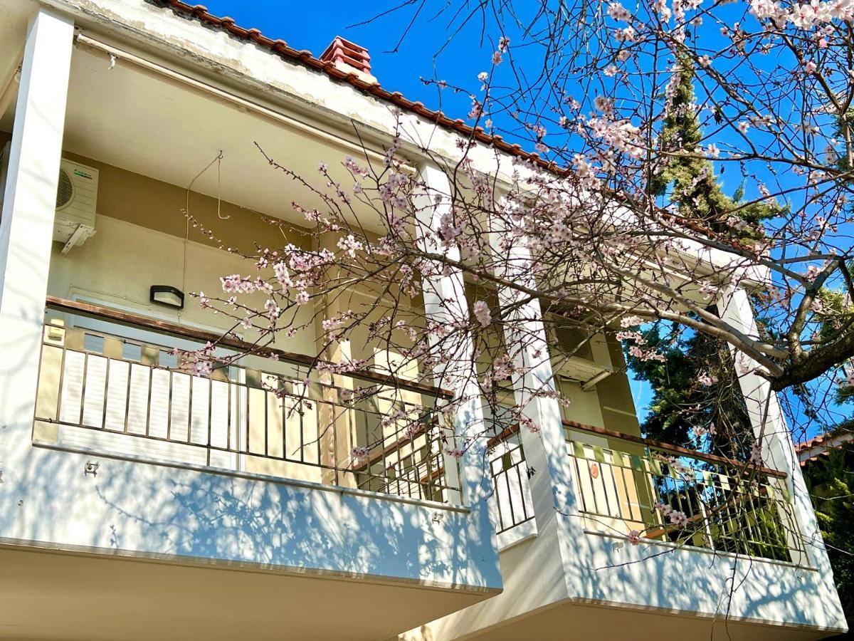 Holiday home Nikiti Beach Houses *