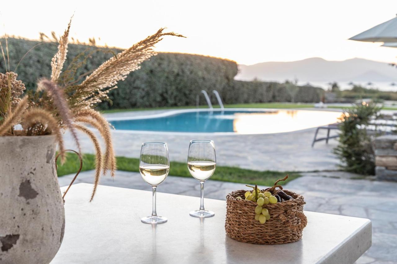 Aqua Breeze Villas Holiday home Plaka (Naxos)