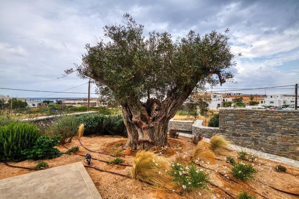 Villa Grand Reve Paros *
