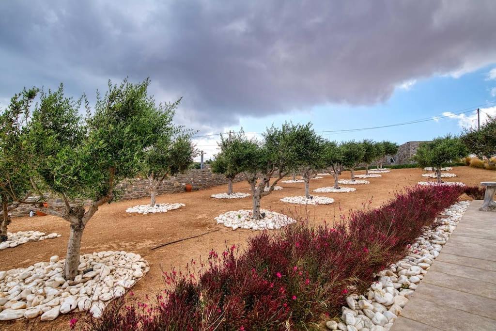 Villa Grand Reve Paros